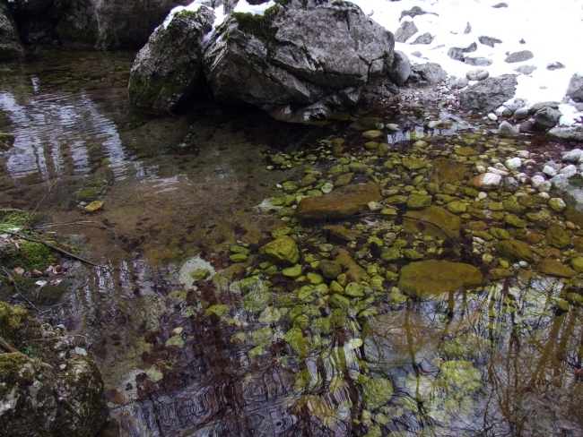 La Valle di Canneto (FR) Parco Nazionale D''Abruzzo